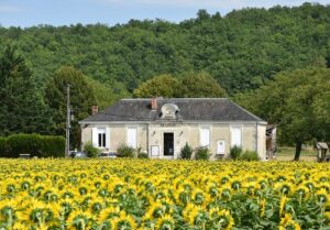 Mairie de Saint-Vincent-sur-l'Isle