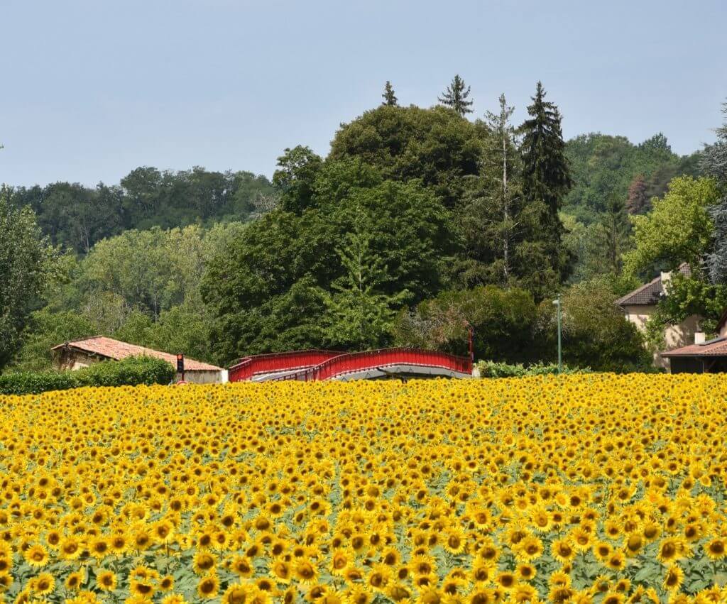 Bienvenue sur le site de la commune de Saint-Vincent-sur-l'Isle