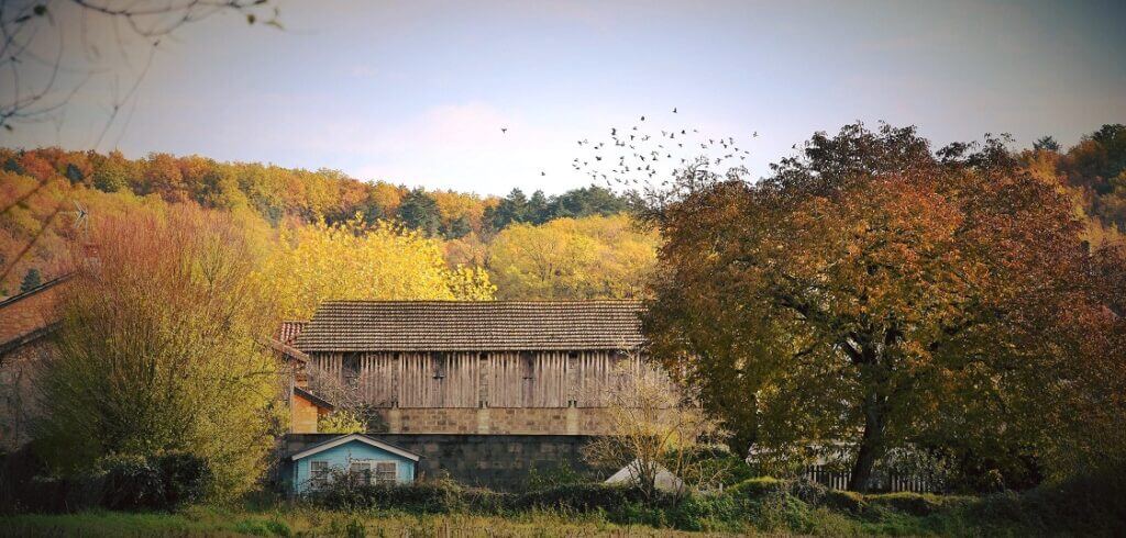 Vue sur la campagne à Saint-Vincent-sur-l'Isle en Dordogne