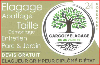 GARGOLY Théo